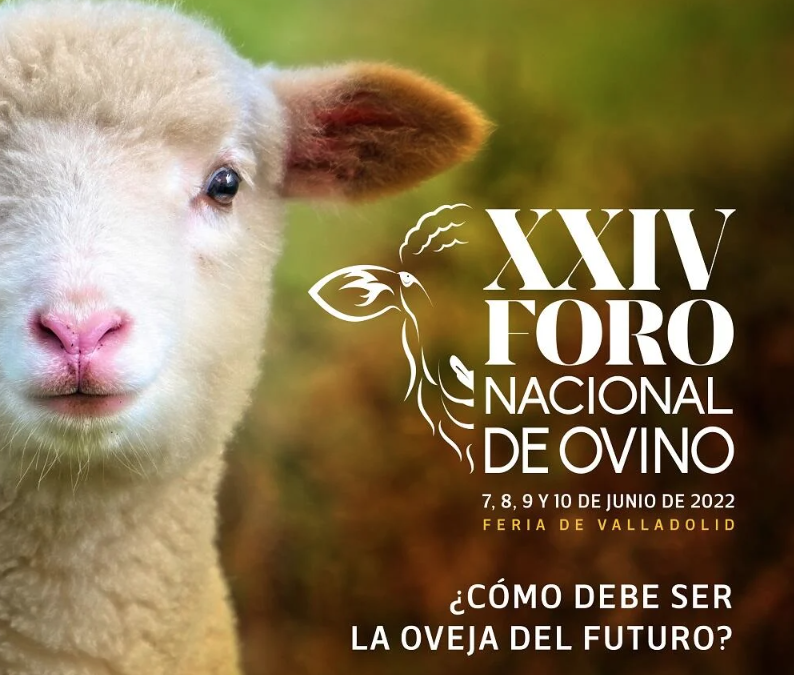 XXIVe Forum national du mouton - Foire commerciale de Valladolid