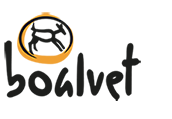 logo-boalvet-home