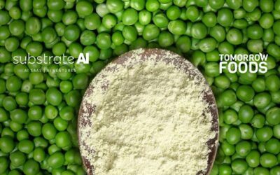 Substrate AI revolutionizes protein production with US company Tomorrow Foods